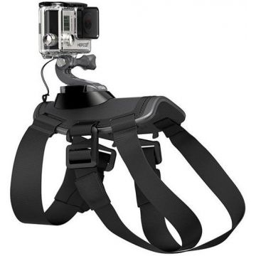 Ham pentru caini GoPro Fetch ADOGM-001