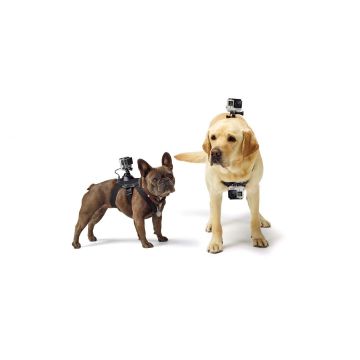 Fetch Dog Harness / Ham pentru caini cu prindere quick-release J-Hook compatibil GoPro GP186